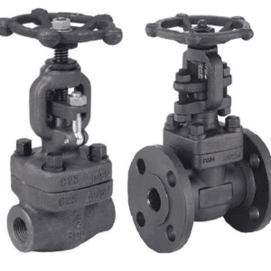 Forged Steel Globe Valves | API 602 Compact Globe Valves | FOURVED