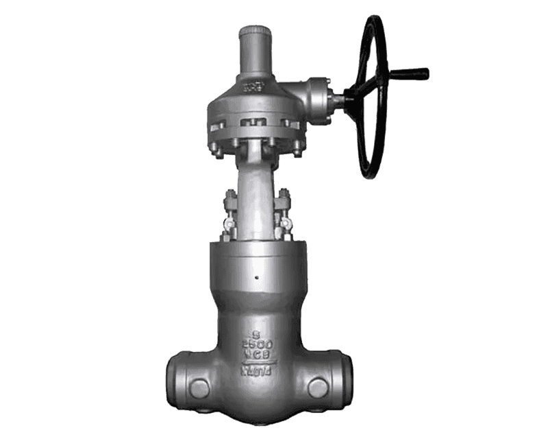 Pressure Seal Globe Valves | High Pressure Throttling Valves | FOURVED